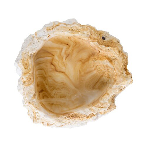 レプティボウル2 SF