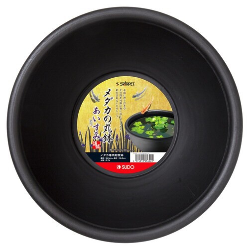 メダカの丸鉢 あいすみ