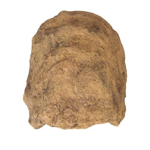 ロックシェルターSP SS