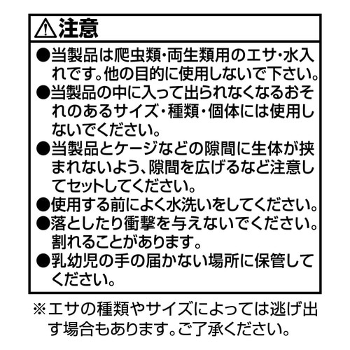 レプタイルカップ