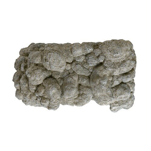 ロックシェルター