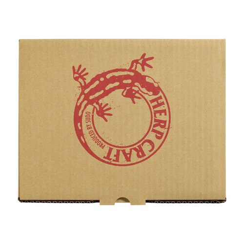 レプティギア・ハイ300