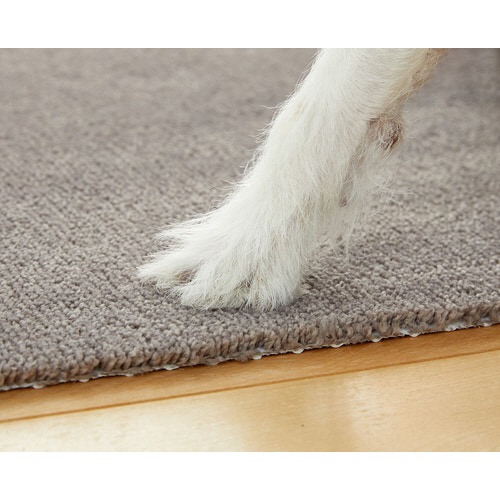 ピタペトモ 袋ヘッター 2P プレーン&×2