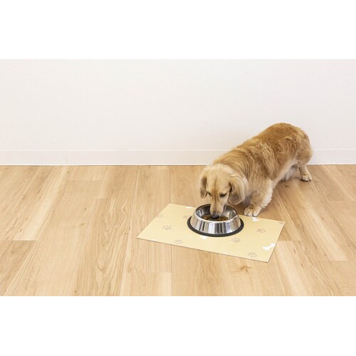 ラクぺトモランチョンマット