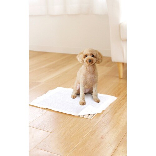 スベラックスペット洗えるすべり止めネット