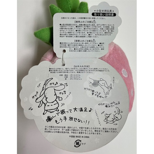 でっかいフルーツ