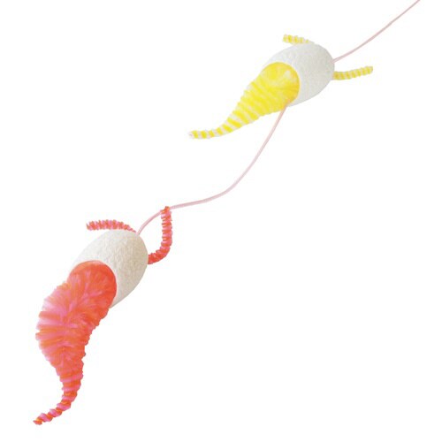 まゆおどり ムイムイ