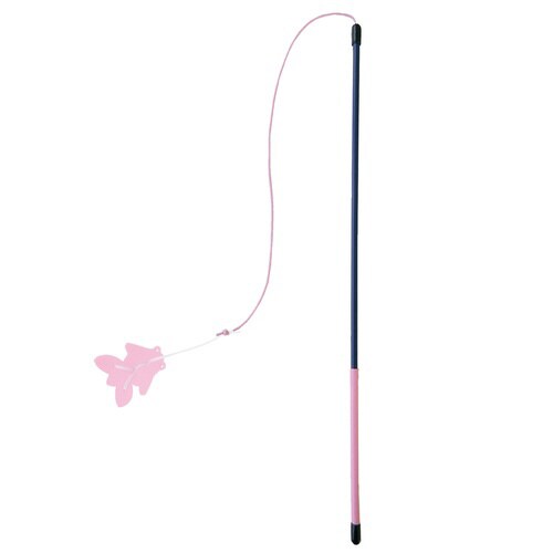 シリコンかむにゃむ