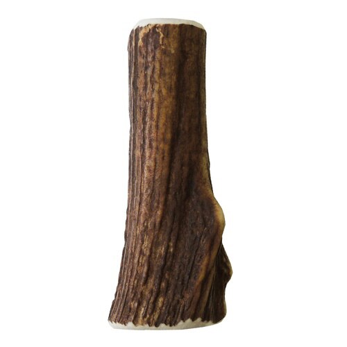 ベニソンアントラー