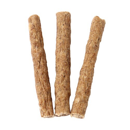 いっしょに歯磨きちゅーむ かつお