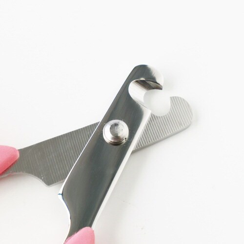 フルーツ村のやさしい爪切り