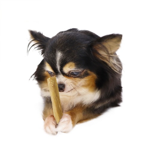 カフェチューウッド