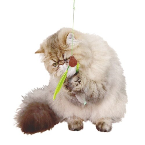 ハンディーハンター バード