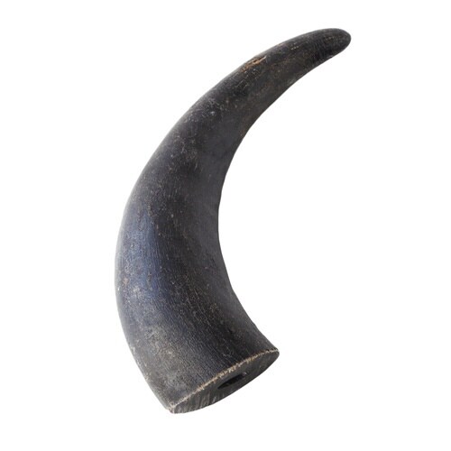 バッファローホーン