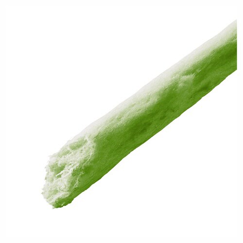 ゴン太の歯磨き専用ガム ブレスクリア 青