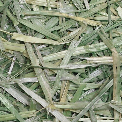 パスチャーウィートヘイ