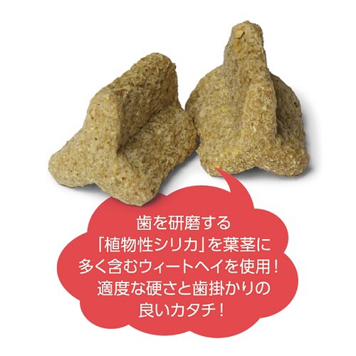 ハイペット カジリカ Y