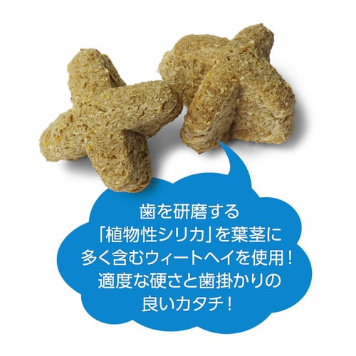 ハイペット カジリカ X