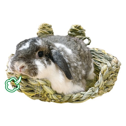 住処sumi‐CA バスケット