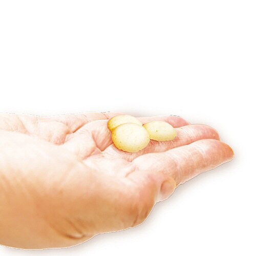 プチクリスプ 10歳以上 CoQ10 4×3