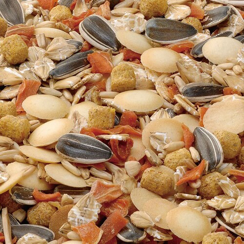 ハムスター・リスのまんま ミックス