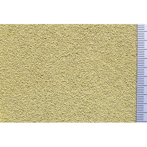 すくすくメダカ