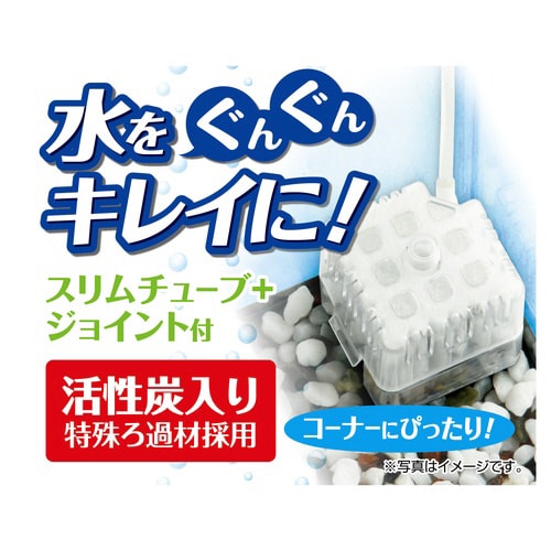 ロカボーイコンパクト