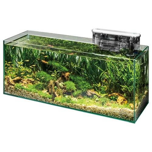 グラステリアスリム600水槽