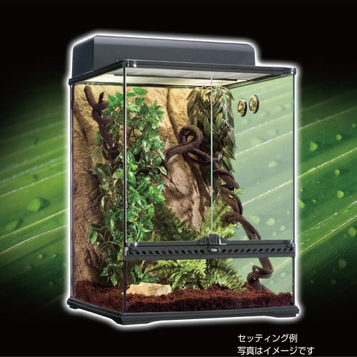 ジャングルヴァインS PT‐3085