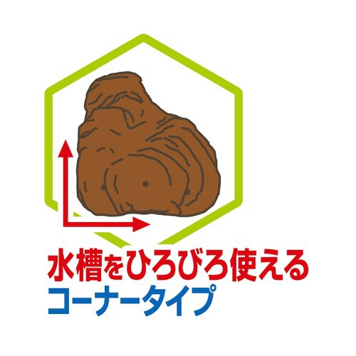 カメ元気カメの島M‐1