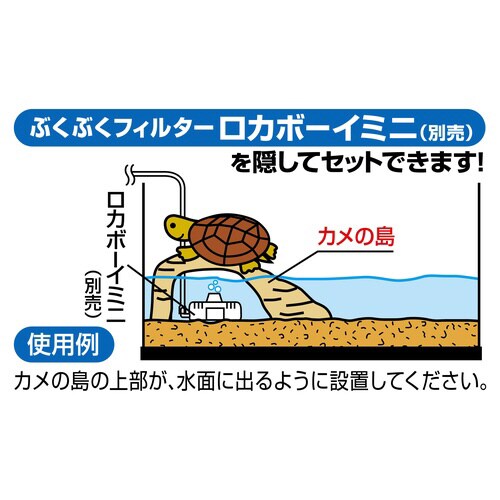 カメ元気カメの島M‐1