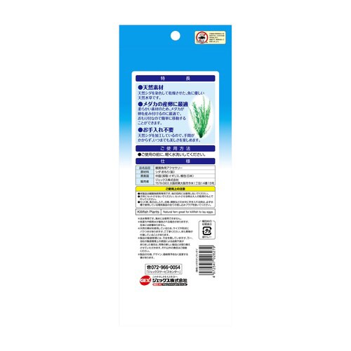 メダカ水景 天然産卵草