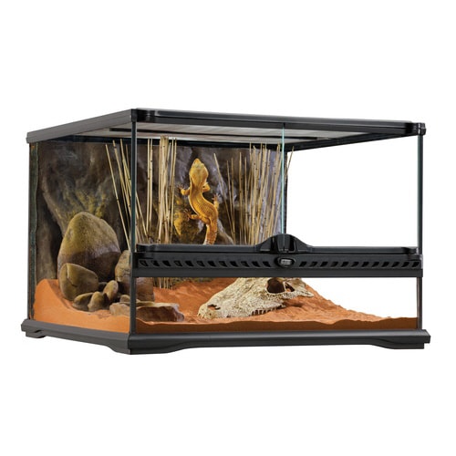 PT2603 グラステラリウム4530