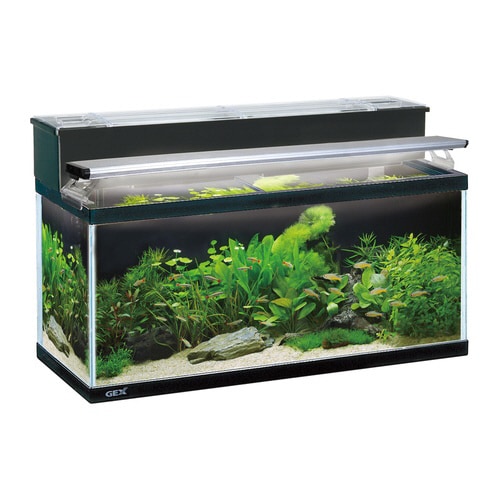 マリーナ900LEDセット