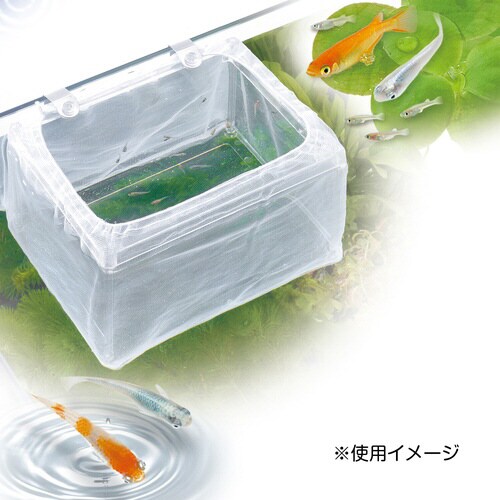 メダカ元気育成ネット角型×2