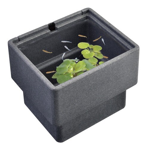 メダカ元気快適・繁殖ケース