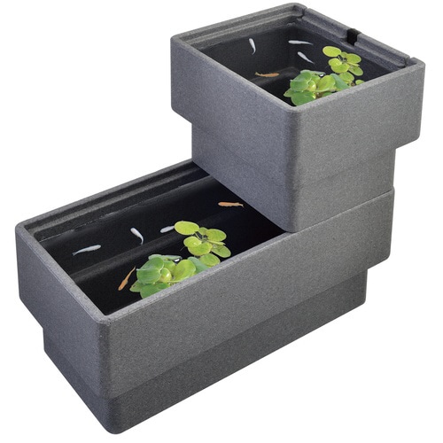 メダカ元気快適・繁殖ケース