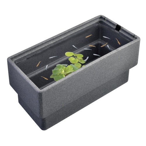 メダカ元気快適・繁殖ケース