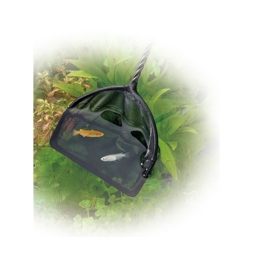 メダカ元気 やさしいネット