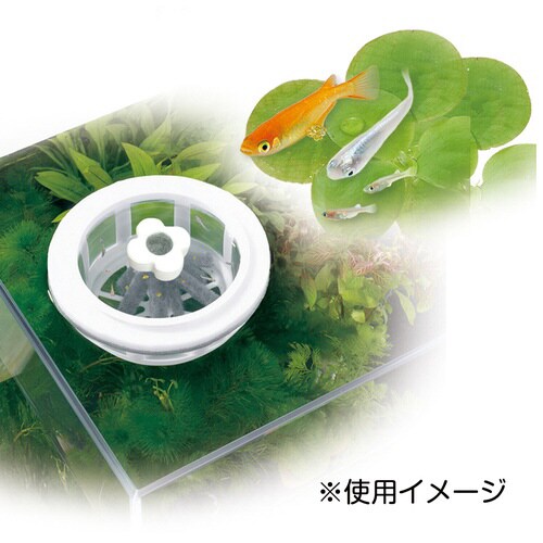 メダカ元気育成メッシュ丸型産卵床付