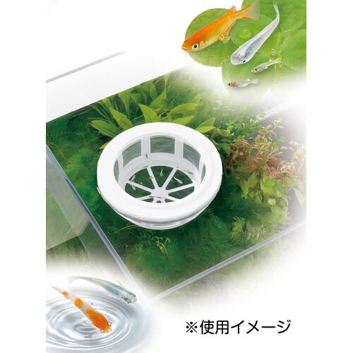 メダカ元気育成メッシュ丸型