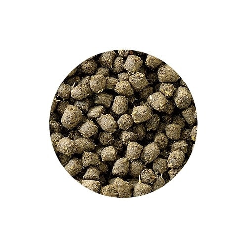 フトアゴヒゲトカゲの昆虫ブレンドフード