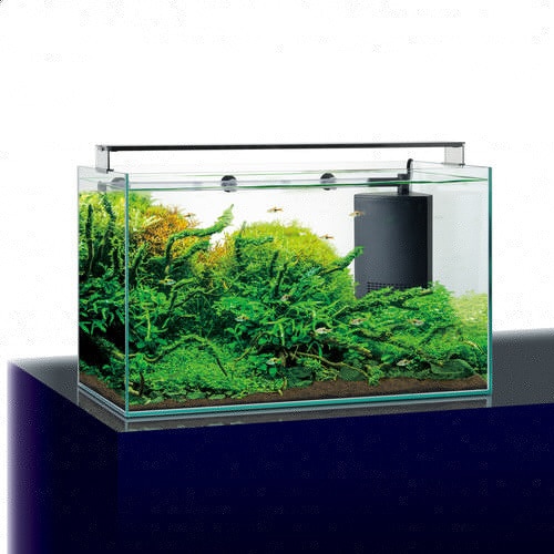 グラステリアサイレント600ST