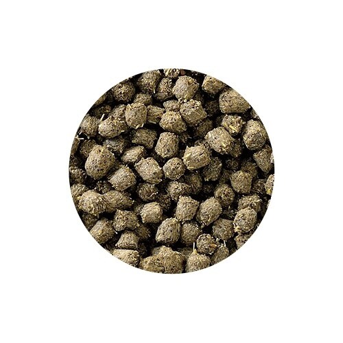 フトアゴヒゲトカゲの昆虫ブレンドフード