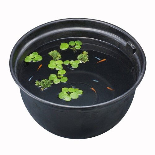メダカ元気メダカのための飼育鉢黒320