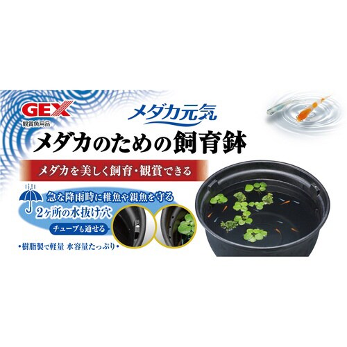 メダカ元気メダカのための飼育鉢黒320