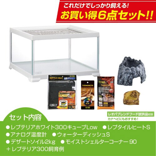 レオパ飼育キット