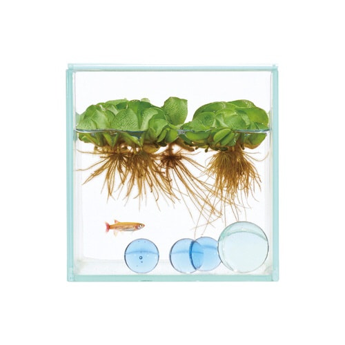 グラステリア フィット 100CUBE