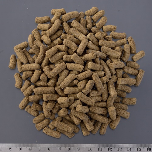 トカゲブレンドフード