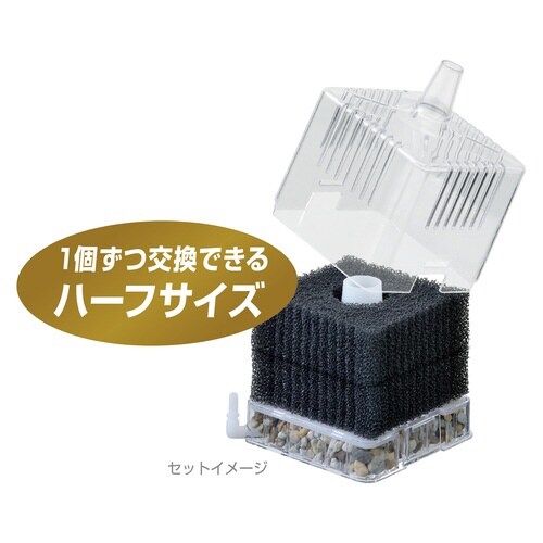 ロカボーイM ストロングスポンジ